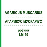 АГАРИКУС МУСКАРИУС (AGARICUS MUSCARIUS) LM 20 раствор 10 мл - Гомеопатия ARCANA DR.SEWERIN