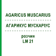 АГАРИКУС МУСКАРИУС (AGARICUS MUSCARIUS) LM 21 раствор 10 мл - Гомеопатия ARCANA DR.SEWERIN