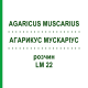 АГАРИКУС МУСКАРИУС (AGARICUS MUSCARIUS) LM 22 раствор 10 мл - Гомеопатия ARCANA DR.SEWERIN