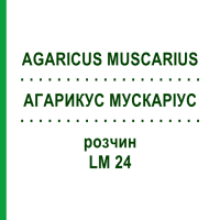 АГАРИКУС МУСКАРІУС (AGARICUS MUSCARIUS) LM 24 розчин 10 мл - Гомеопатія ARCANA DR.SEWERIN