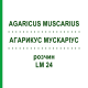 АГАРИКУС МУСКАРИУС (AGARICUS MUSCARIUS) LM 24 раствор 10 мл - Гомеопатия ARCANA DR.SEWERIN