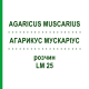 АГАРИКУС МУСКАРИУС (AGARICUS MUSCARIUS) LM 25 раствор 10 мл - Гомеопатия ARCANA DR.SEWERIN