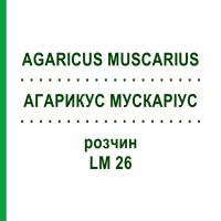 АГАРИКУС МУСКАРИУС (AGARICUS MUSCARIUS) LM 26 раствор 10 мл - Гомеопатия ARCANA DR.SEWERIN