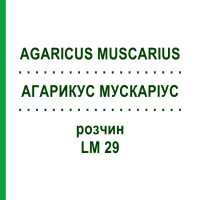АГАРИКУС МУСКАРИУС (AGARICUS MUSCARIUS) LM 29 раствор 10 мл - Гомеопатия ARCANA DR.SEWERIN