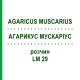 АГАРИКУС МУСКАРИУС (AGARICUS MUSCARIUS) LM 29 раствор 10 мл - Гомеопатия ARCANA DR.SEWERIN