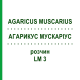 АГАРИКУС МУСКАРИУС (AGARICUS MUSCARIUS) LM 3 раствор 10 мл - Гомеопатия ARCANA DR.SEWERIN