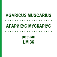 АГАРИКУС МУСКАРІУС (AGARICUS MUSCARIUS) LM 36 розчин 10 мл - Гомеопатія ARCANA DR.SEWERIN