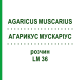 АГАРИКУС МУСКАРИУС (AGARICUS MUSCARIUS) LM 36 раствор 10 мл - Гомеопатия ARCANA DR.SEWERIN