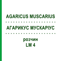 АГАРИКУС МУСКАРИУС (AGARICUS MUSCARIUS) LM 4 раствор 10 мл - Гомеопатия ARCANA DR.SEWERIN