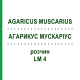 АГАРИКУС МУСКАРИУС (AGARICUS MUSCARIUS) LM 4 раствор 10 мл - Гомеопатия ARCANA DR.SEWERIN