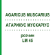 АГАРИКУС МУСКАРИУС (AGARICUS MUSCARIUS) LM 45 раствор 10 мл - Гомеопатия ARCANA DR.SEWERIN
