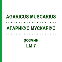 АГАРИКУС МУСКАРІУС (AGARICUS MUSCARIUS) LM 7 розчин 10 мл - Гомеопатія ARCANA DR.SEWERIN