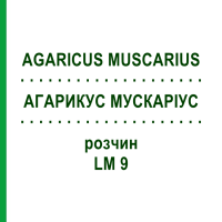 АГАРИКУС МУСКАРИУС (AGARICUS MUSCARIUS) LM 9 раствор 10 мл - Гомеопатия ARCANA DR.SEWERIN
