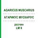 АГАРИКУС МУСКАРИУС (AGARICUS MUSCARIUS) LM 9 раствор 10 мл - Гомеопатия ARCANA DR.SEWERIN