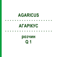 АГАРИКУС (AGARICUS) Q 1 раствор 15 мл - Гомеопатия GUDJONS