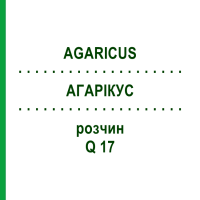 АГАРИКУС (AGARICUS) Q 17 раствор 15 мл - Гомеопатия GUDJONS