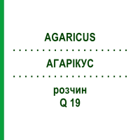 АГАРИКУС (AGARICUS) Q 19 раствор 15 мл - Гомеопатия GUDJONS