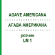 АГАВА АМЕРИКАНА (AGAVE AMERICANA) LM 1 раствор 10 мл - Гомеопатия ARCANA DR.SEWERIN