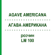 АГАВА АМЕРИКАНА (AGAVE AMERICANA) LM 100 раствор 10 мл - Гомеопатия ARCANA DR.SEWERIN