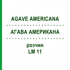 АГАВА АМЕРИКАНА (AGAVE AMERICANA) LM 11 раствор 10 мл - Гомеопатия ARCANA DR.SEWERIN