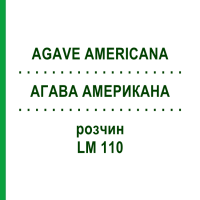 АГАВА АМЕРИКАНА (AGAVE AMERICANA) LM 110 раствор 10 мл - Гомеопатия ARCANA DR.SEWERIN