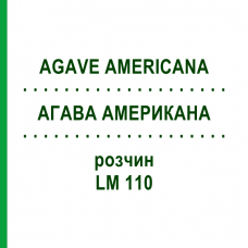 АГАВА АМЕРИКАНА (AGAVE AMERICANA) LM 110 раствор 10 мл - Гомеопатия ARCANA DR.SEWERIN