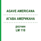 АГАВА АМЕРИКАНА (AGAVE AMERICANA) LM 110 раствор 10 мл - Гомеопатия ARCANA DR.SEWERIN