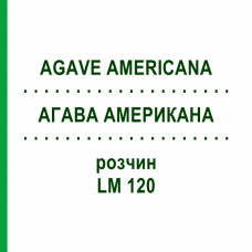 АГАВА АМЕРИКАНА (AGAVE AMERICANA) LM 120 раствор 10 мл - Гомеопатия ARCANA DR.SEWERIN