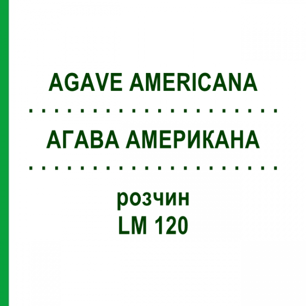 АГАВА АМЕРИКАНА (AGAVE AMERICANA) LM 120 раствор 10 мл - Гомеопатия ARCANA DR.SEWERIN