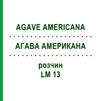 АГАВА АМЕРИКАНА (AGAVE AMERICANA) LM 13 розчин 10 мл - Гомеопатія ARCANA DR.SEWERIN