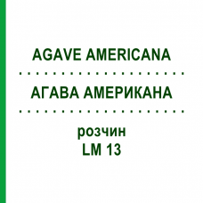 АГАВА АМЕРИКАНА (AGAVE AMERICANA) LM 13 раствор 10 мл - Гомеопатия ARCANA DR.SEWERIN