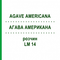 АГАВА АМЕРИКАНА (AGAVE AMERICANA) LM 14 раствор 10 мл - Гомеопатия ARCANA DR.SEWERIN