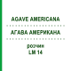 АГАВА АМЕРИКАНА (AGAVE AMERICANA) LM 14 раствор 10 мл - Гомеопатия ARCANA DR.SEWERIN