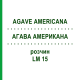 АГАВА АМЕРИКАНА (AGAVE AMERICANA) LM 15 раствор 10 мл - Гомеопатия ARCANA DR.SEWERIN