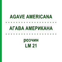 АГАВА АМЕРИКАНА (AGAVE AMERICANA) LM 21 раствор 10 мл - Гомеопатия ARCANA DR.SEWERIN