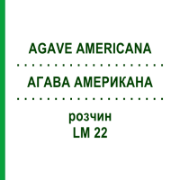 АГАВА АМЕРИКАНА (AGAVE AMERICANA) LM 22 розчин 10 мл - Гомеопатія ARCANA DR.SEWERIN