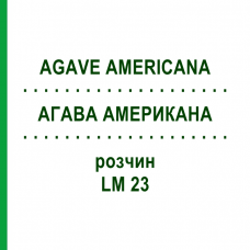 АГАВА АМЕРИКАНА (AGAVE AMERICANA) LM 23 раствор 10 мл - Гомеопатия ARCANA DR.SEWERIN