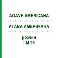 АГАВА АМЕРИКАНА (AGAVE AMERICANA) LM 26 раствор 10 мл - Гомеопатия ARCANA DR.SEWERIN