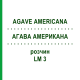 АГАВА АМЕРИКАНА (AGAVE AMERICANA) LM 3 раствор 10 мл - Гомеопатия ARCANA DR.SEWERIN