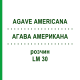 АГАВА АМЕРИКАНА (AGAVE AMERICANA) LM 30 раствор 10 мл - Гомеопатия ARCANA DR.SEWERIN