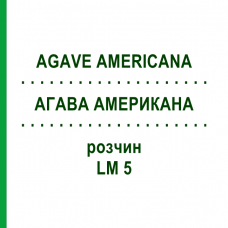 АГАВА АМЕРИКАНА (AGAVE AMERICANA) LM 5 раствор 10 мл - Гомеопатия ARCANA DR.SEWERIN