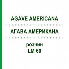 АГАВА АМЕРИКАНА (AGAVE AMERICANA) LM 60 раствор 10 мл - Гомеопатия ARCANA DR.SEWERIN