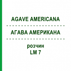 АГАВА АМЕРИКАНА (AGAVE AMERICANA) LM 7 раствор 10 мл - Гомеопатия ARCANA DR.SEWERIN