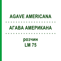 АГАВА АМЕРИКАНА (AGAVE AMERICANA) LM 75 розчин 10 мл - Гомеопатія ARCANA DR.SEWERIN
