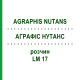 АГРАФИС НУТАНС (AGRAPHIS NUTANS) LM 17 раствор 10 мл - Гомеопатия ARCANA DR.SEWERIN
