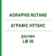 АГРАФИС НУТАНС (AGRAPHIS NUTANS) LM 36 раствор 10 мл - Гомеопатия ARCANA DR.SEWERIN