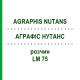 АГРАФИС НУТАНС (AGRAPHIS NUTANS) LM 75 раствор 10 мл - Гомеопатия ARCANA DR.SEWERIN