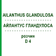 АЙЛАНТУС ГЛАНДУЛОСА (AILANTHUS GLANDULOSA) D 4 раствор 20 мл - Гомеопатия DHU