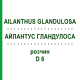 АЙЛАНТУС ГЛАНДУЛОСА (AILANTHUS GLANDULOSA) D 6 раствор 20 мл - Гомеопатия DHU