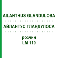 АЙЛАНТУС ГЛАНДУЛОСА (AILANTHUS GLANDULOSA) LM 110 раствор 10 мл - Гомеопатия ARCANA DR.SEWERIN